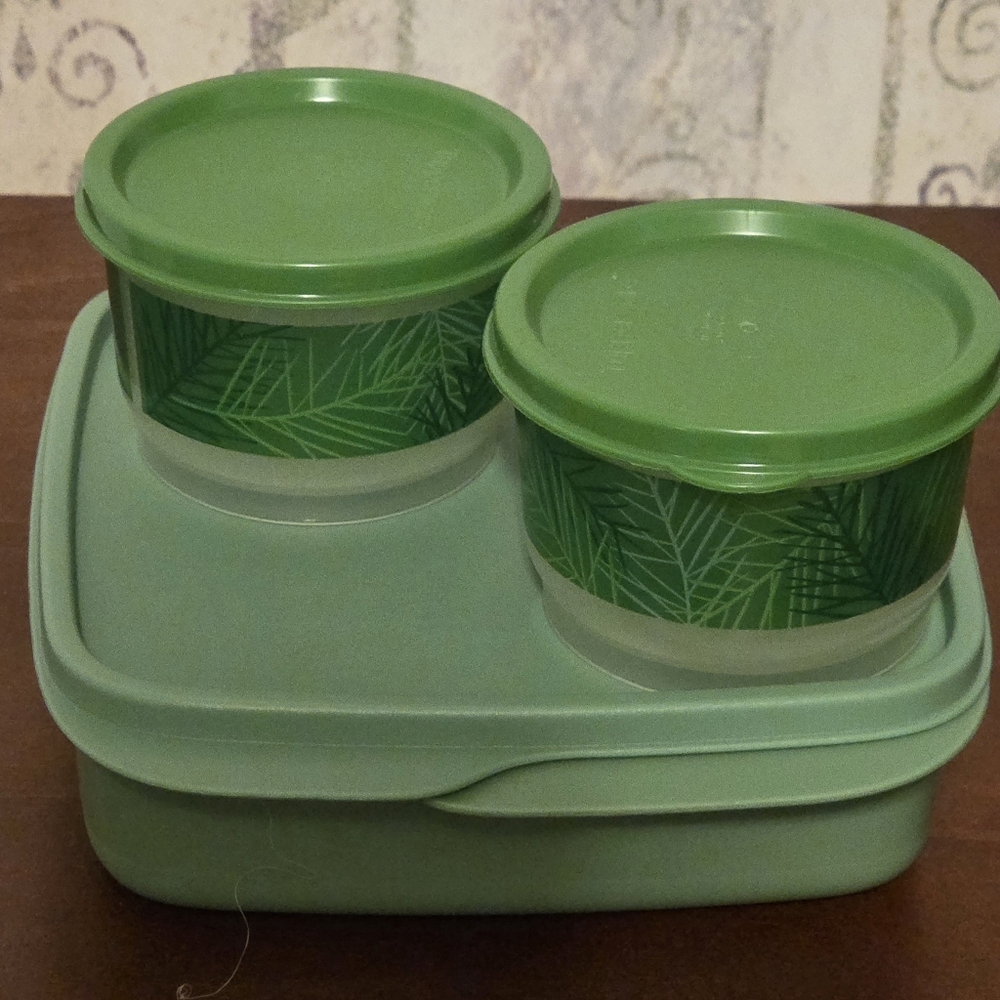 TUPPERWARE LUNCHIT + SNACK BOWLS